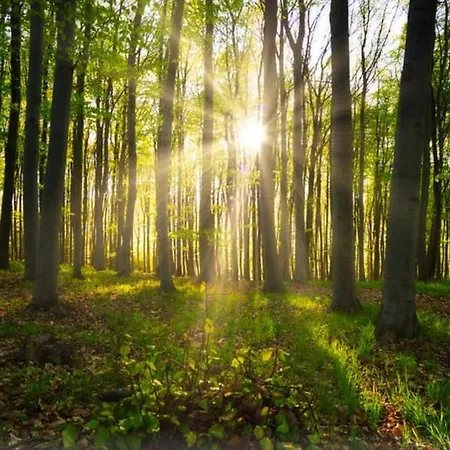 Apartment Haus Gerda *