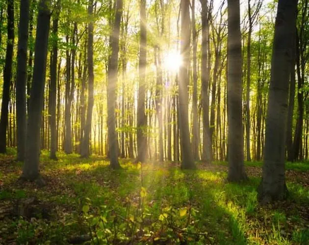 Appartamento Haus Gerda *